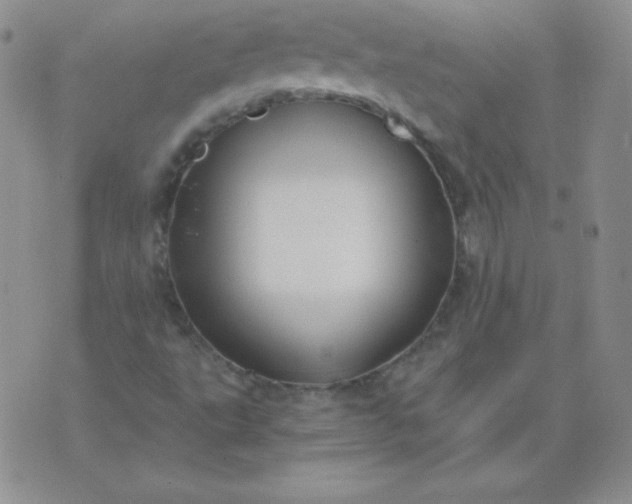 X0000076271495200610122242