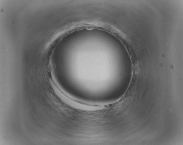 X0000076271496200610122242