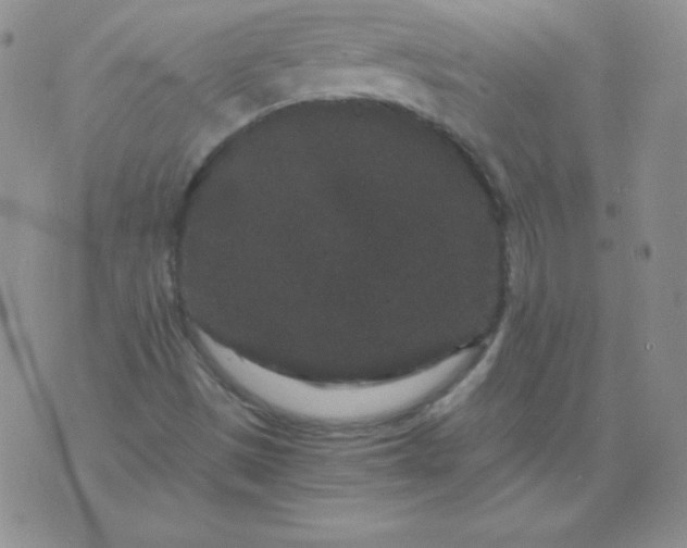 X0000076271497200610122242