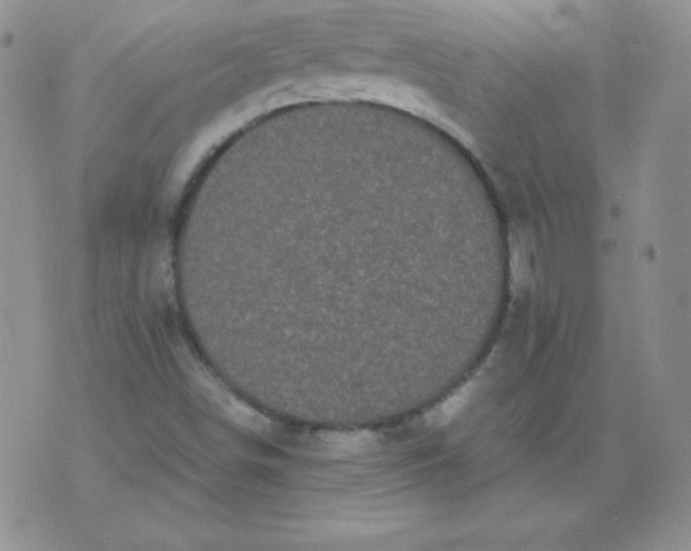 X0000076271498200610122242