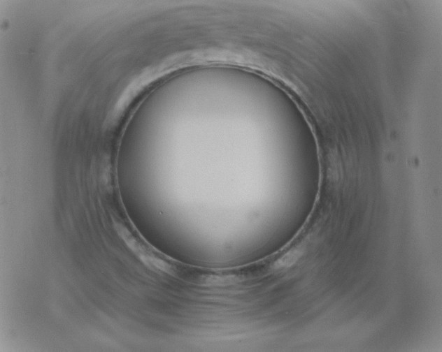 X0000076271499200610122242