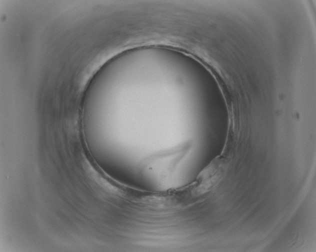 X0000076271500200610122242