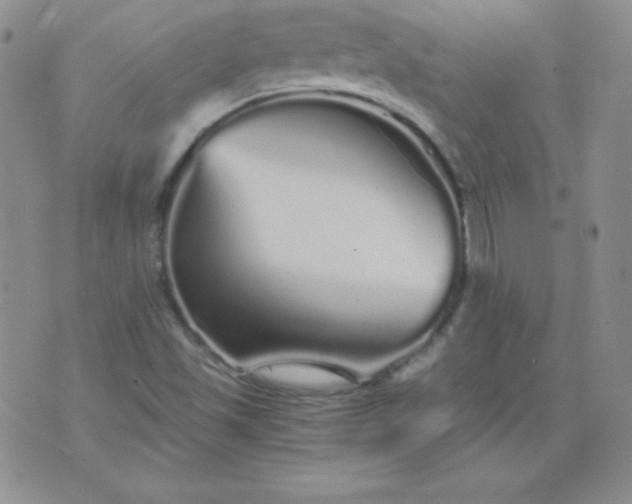 X0000076271501200610122242