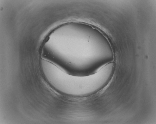 X0000076271502200610122242