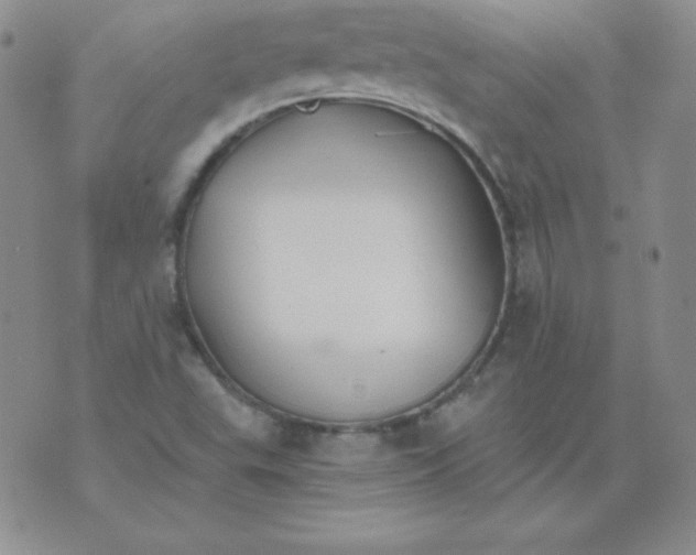 X0000076271503200610122242