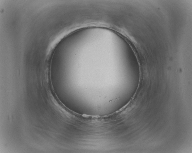 X0000076271504200610122242