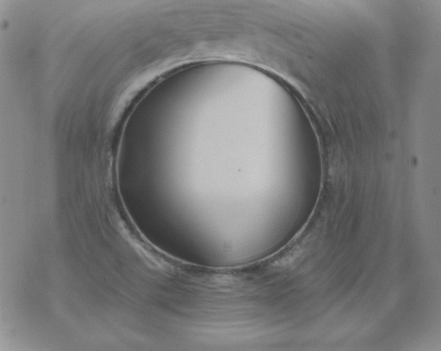 X0000076271507200610122242