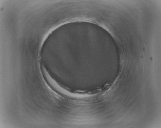 X0000076271508200610122242