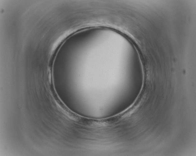 X0000076271509200610122242