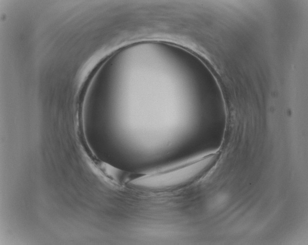 X0000076271511200610122242