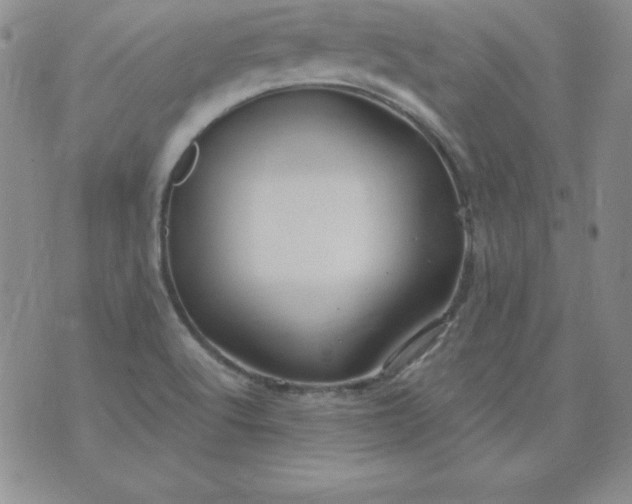 X0000076271512200610122242