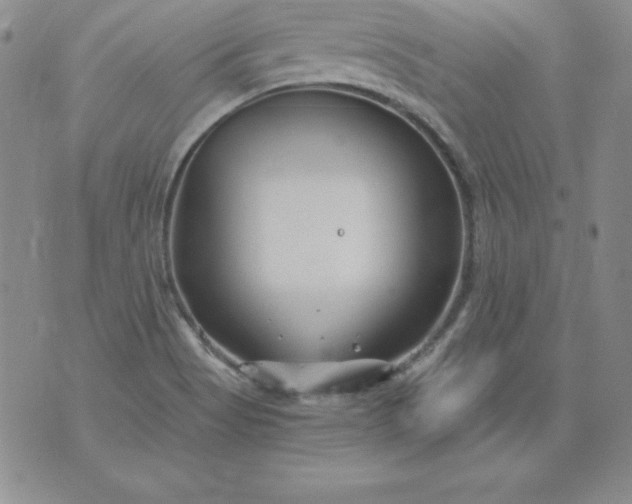 X0000076271513200610122242