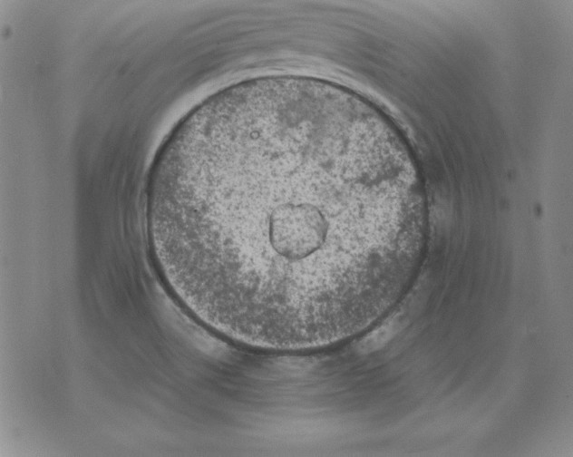 X0000076271514200610122242