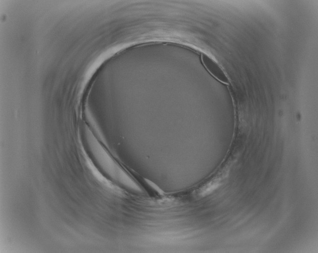 X0000076271515200610122242