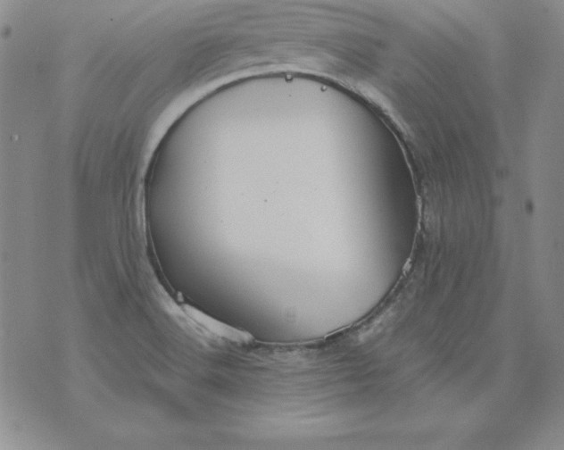 X0000076271516200610122242