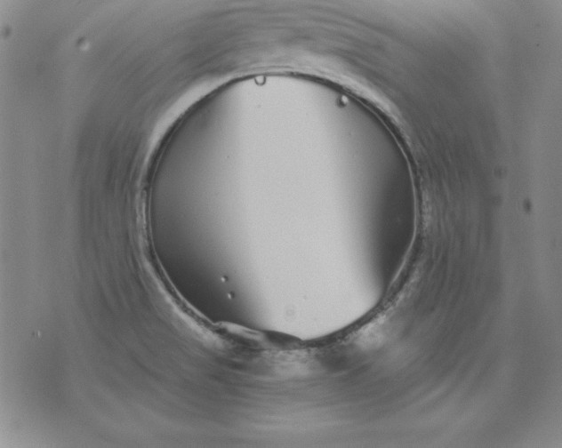 X0000076271517200610122242