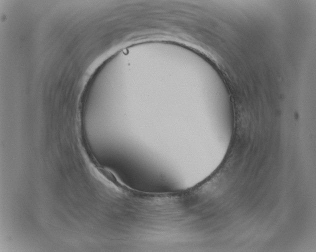 X0000076271518200610122242