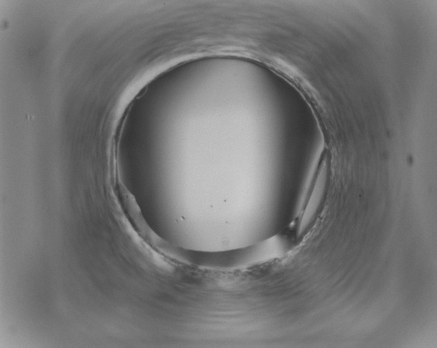 X0000076271520200610122242