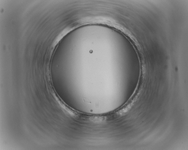 X0000076271521200610122242