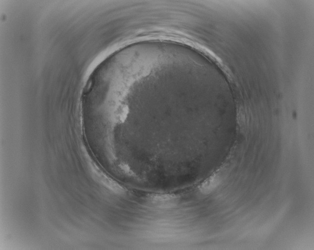 X0000076271522200610122242