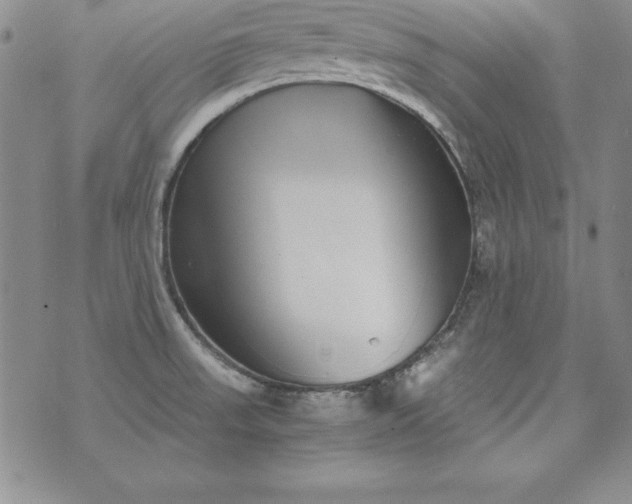 X0000076271523200610122242