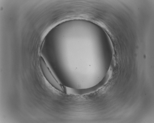 X0000076271524200610122242