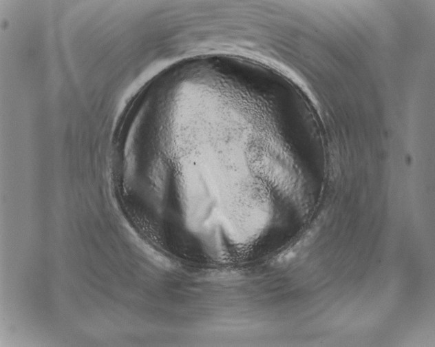 X0000076271525200610122242