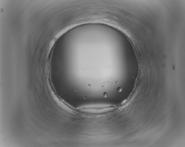 X0000076271526200610122242