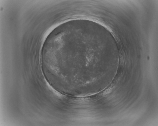 X0000076271527200610122242