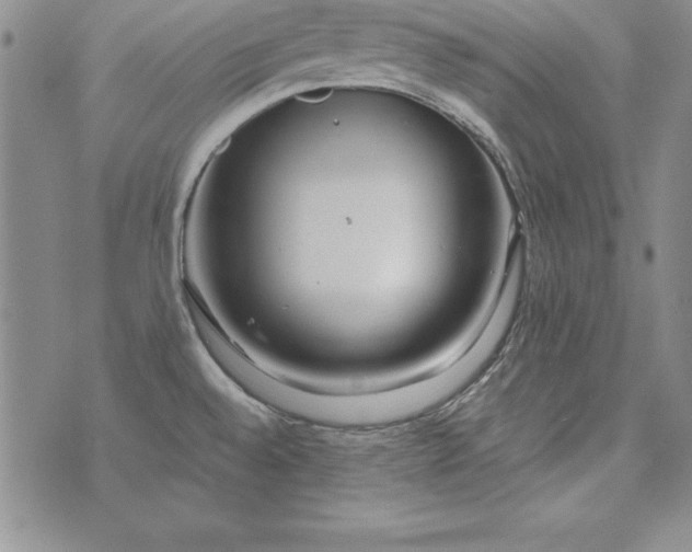 X0000076271528200610122242