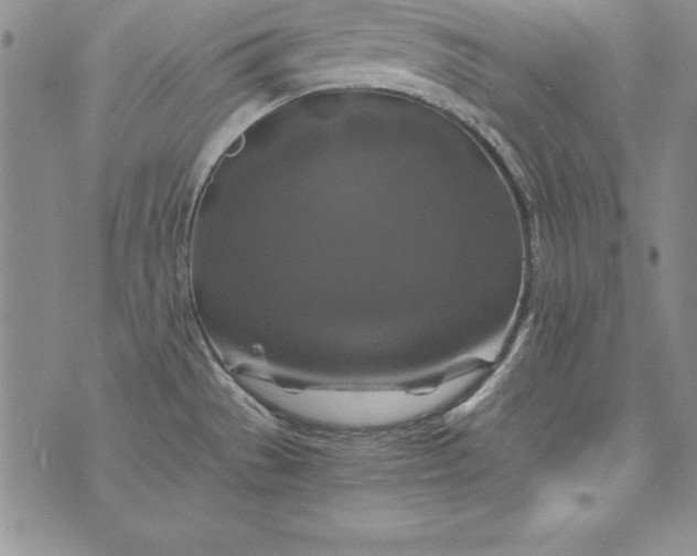 X0000076271529200610122242