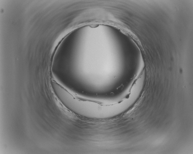 X0000076271530200610122242