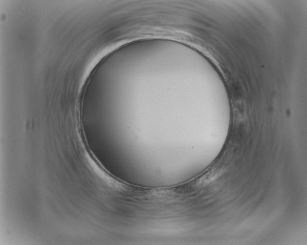 X0000076271531200610122242