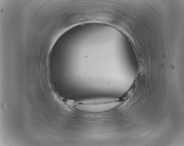 X0000076271532200610122242