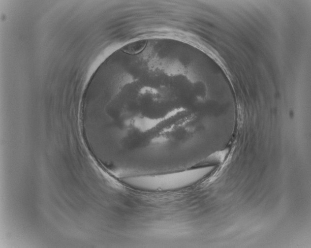 X0000076271533200610122242