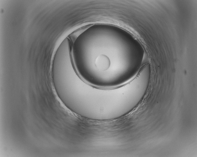 X0000076271536200610122242