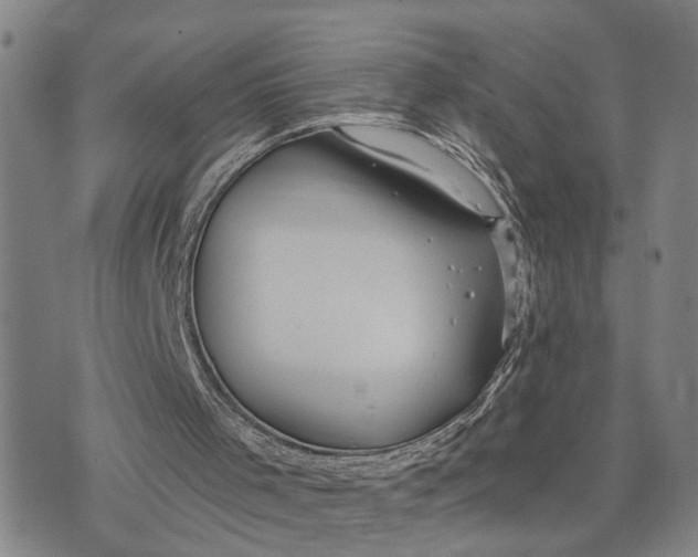 X0000076270001200610191751