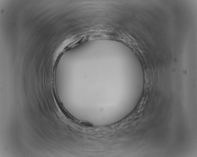 X0000076270003200610191751