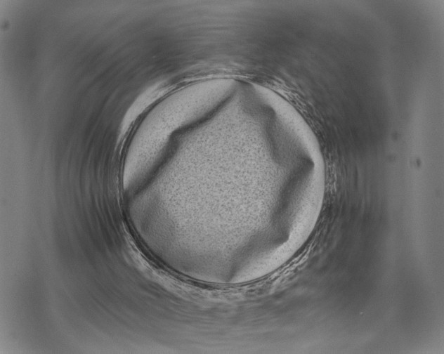 X0000076270004200610191751