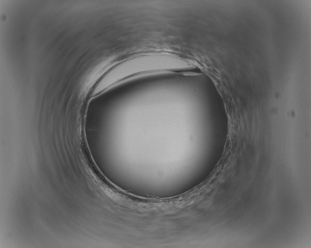 X0000076270005200610191751