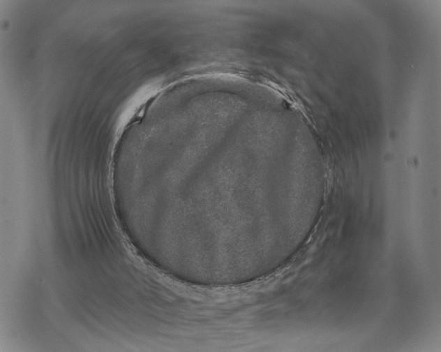 X0000076270006200610191751