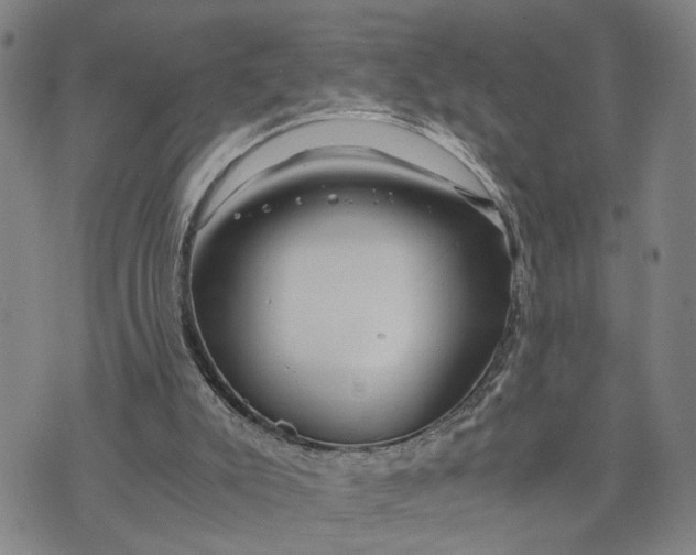 X0000076270007200610191751