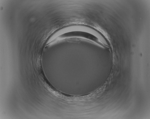 X0000076270009200610191751