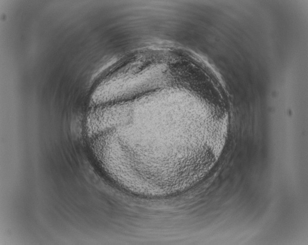 X0000076270010200610191751