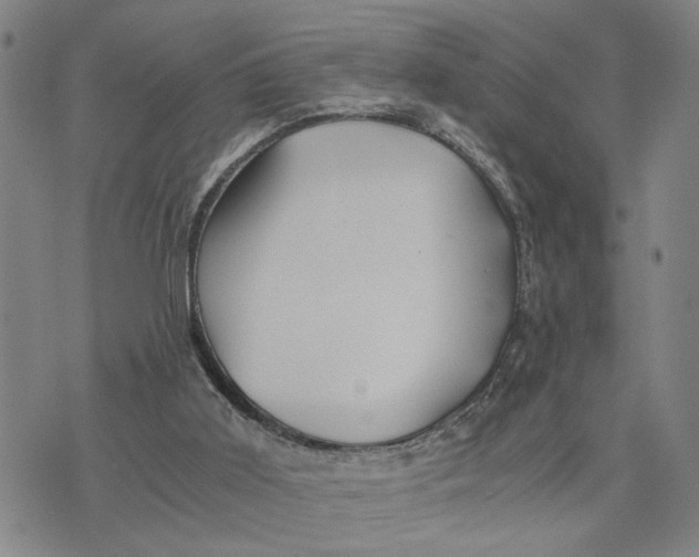 X0000076270011200610191751