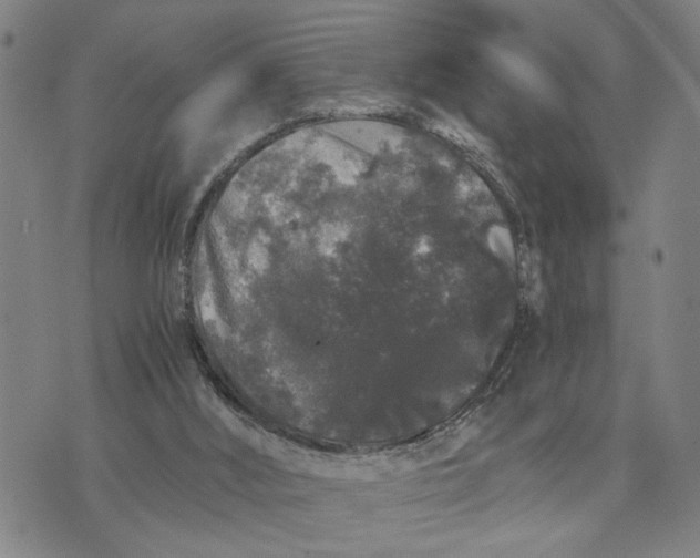 X0000076270012200610191751