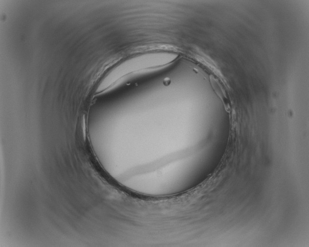 X0000076270013200610191751