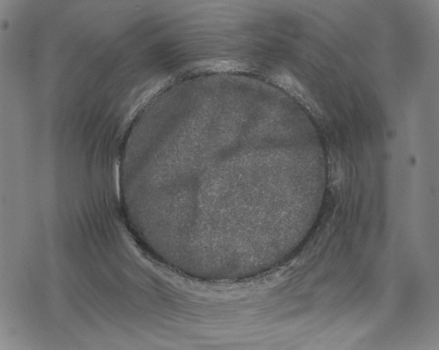 X0000076270014200610191751