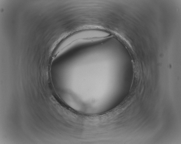 X0000076270015200610191751