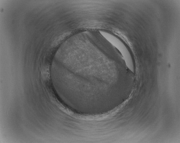 X0000076270017200610191751